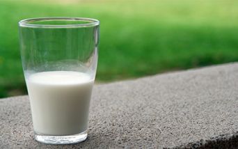 La sindrome emolitico-uremica, il pericolo silenzioso del latte crudo
