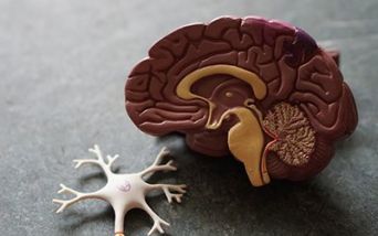 Malattie neurodegenerative