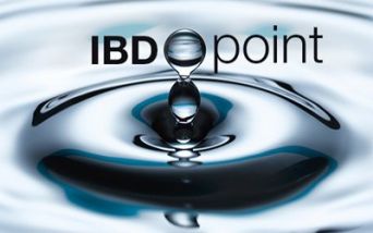 IBDpoint
