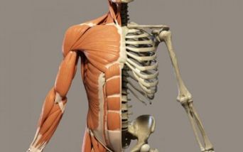 Malattie scheletriche rare