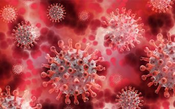 Coronavirus: protezione efficace da un farmaco per i calcoli biliari