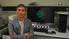 Diabete di tipo 1: possibile ritardare la malattia grazie a nuove terapie immunomodulanti 